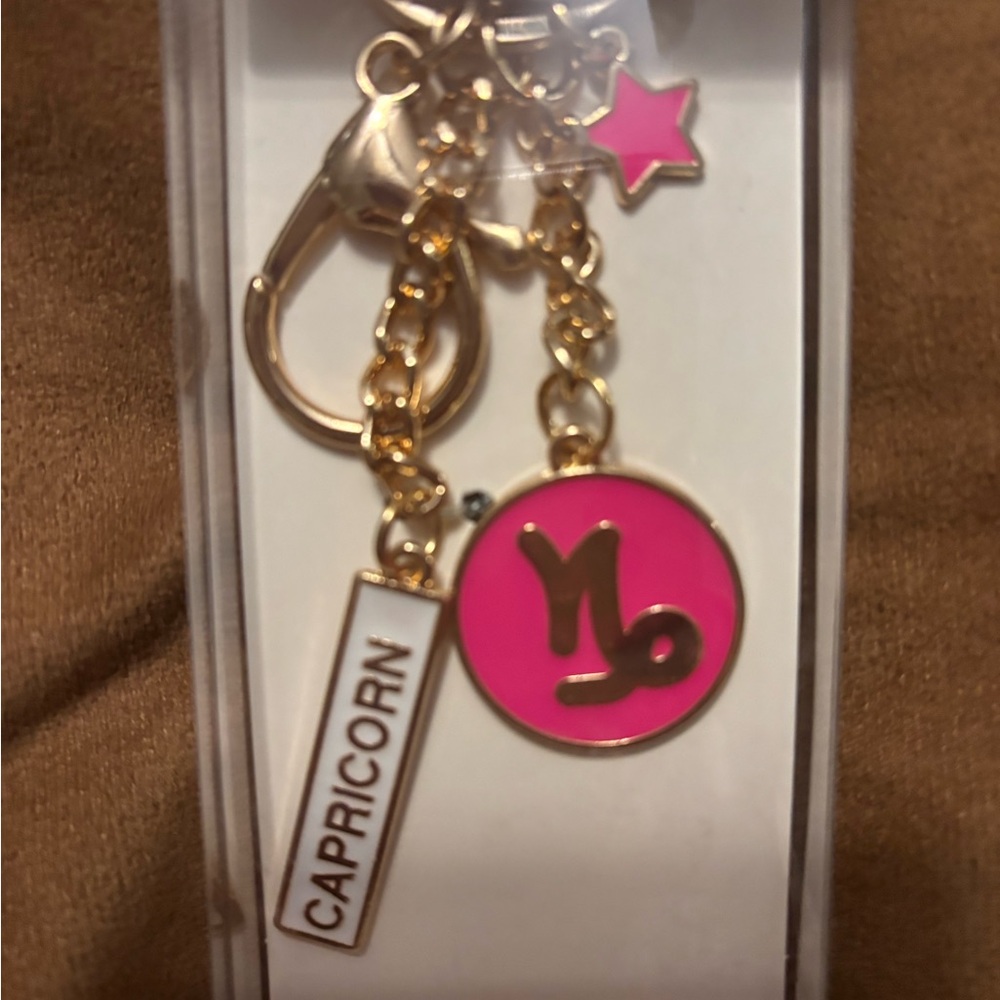 ME Modern Expressions Capricorn Keychain